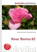 Rosa `Bonica 82`