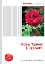 Rosa `Queen Elizabeth`