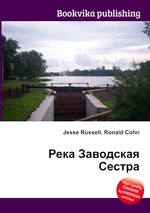 Река Заводская Сестра