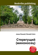 Стерегущий (миноносец)