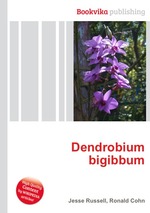 Dendrobium bigibbum