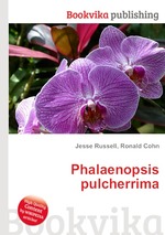 Phalaenopsis pulcherrima