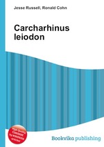 Carcharhinus leiodon