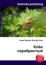 Клён серебристый