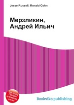 Мерзликин, Андрей Ильич