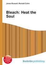 Bleach: Heat the Soul