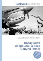 Воздушная операция на реке Салуин (1942)