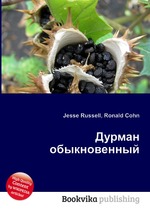 Дурман обыкновенный