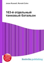 163-й отдельный танковый батальон