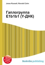 Гаплогруппа E1b1b1 (Y-ДНК)