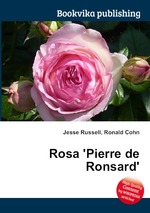 Rosa `Pierre de Ronsard`