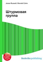 Штурмовая группа