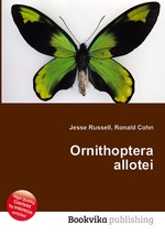 Ornithoptera allotei