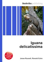 Iguana delicatissima