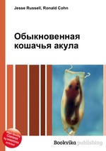 Обыкновенная кошачья акула