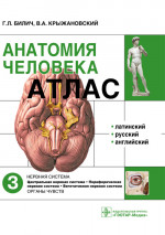 Анатомия человека. Атлас в 3 томах. Том 3. Нервная система