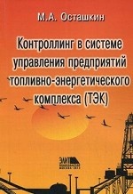 Контроллинг в системе управления предприятий топливно-энергетического комплекса (ТЭК)