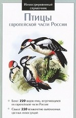 Птицы европейской части России