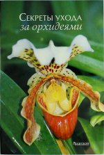 Секреты ухода за орхидеями