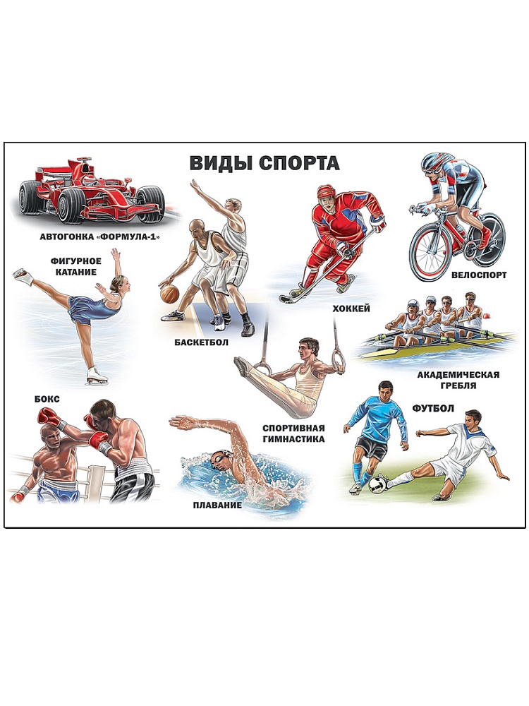 ПЛАКАТ. ВИДЫ СПОРТА