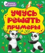 Книжка-раскладушка. Учусь решать примеры