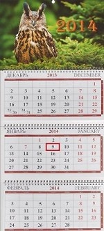 Календарь 2014 (на спирали). Сова