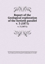 Report of the Geological exploration of the fortieth parallel. v. 3 (1871)