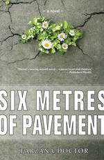 Six Metres of Pavement