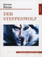 Степной волк (Der steppenwolw)
