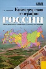 Коммерческая география России. Территориальная организация производства и рынка