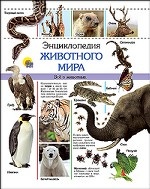 Энциклопедия животного мира