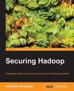 Securing Hadoop