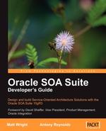 Oracle Soa Suite Developer`s Guide