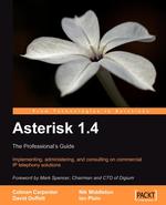 Asterisk 1.4 - the Professional`s Guide