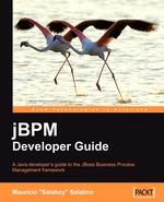 Jbpm Developer Guide
