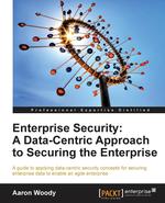 Enterprise Security. A Data-Centric Approach to Securing the Enterprise