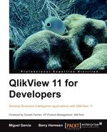 Qlikview 11 Developer`s Guide