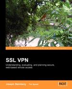 SSL VPN. Understanding, evaluating and planning secure, web-based remote access