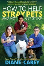 How to Help Stray Pets and Not Get Stuck