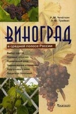 Виноград в средней полосе России