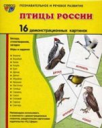 Демонстр. картинки "Птицы России" (173х220мм)