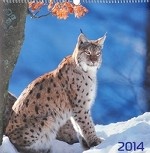 Календарь на 2014. В мире животных