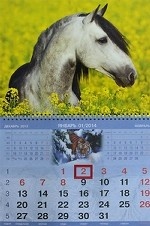 Календарь на 2014 год. Лошадь