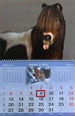 Календарь на 2014 год. Пони