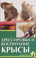 Дрессировка и воспитание крысы