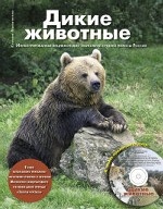 Дикие животные: Иллюстрированная энциклопедия обитателей средней полосы России (+CD)