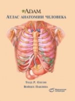 A.D.A.M. Атлас анатомии человека