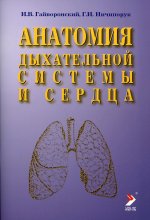 Анатомия дыхательной системы и сердца.Учебное пособие