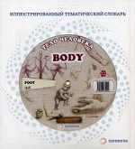 Body / Тело человека. Иллюстрированный тематический словарь