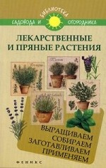 Лекарственные и пряные растения: выращиваем
